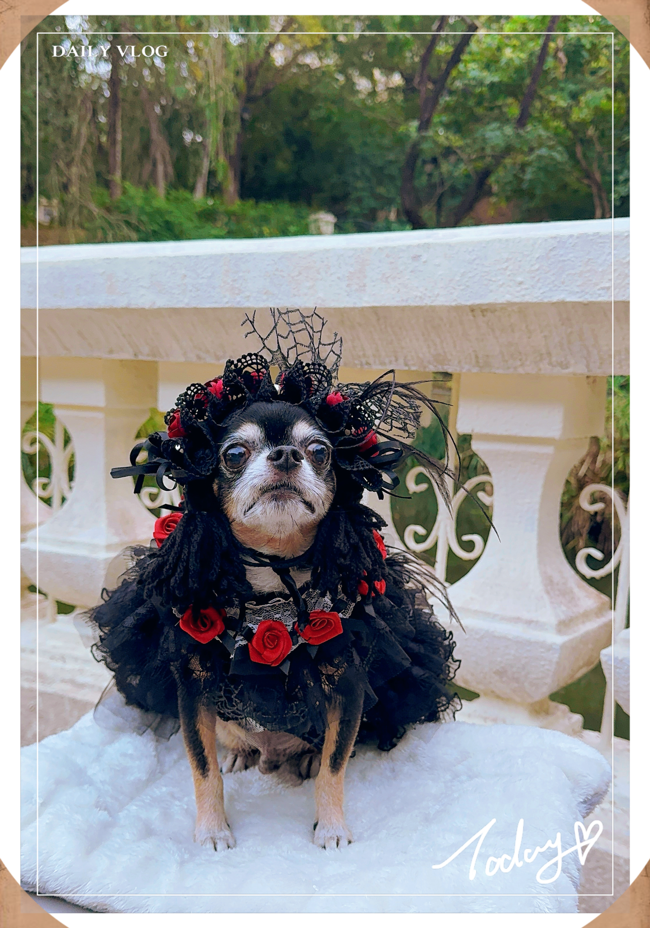 原創設計 暗黑者系列小禮服款&胸背帶款