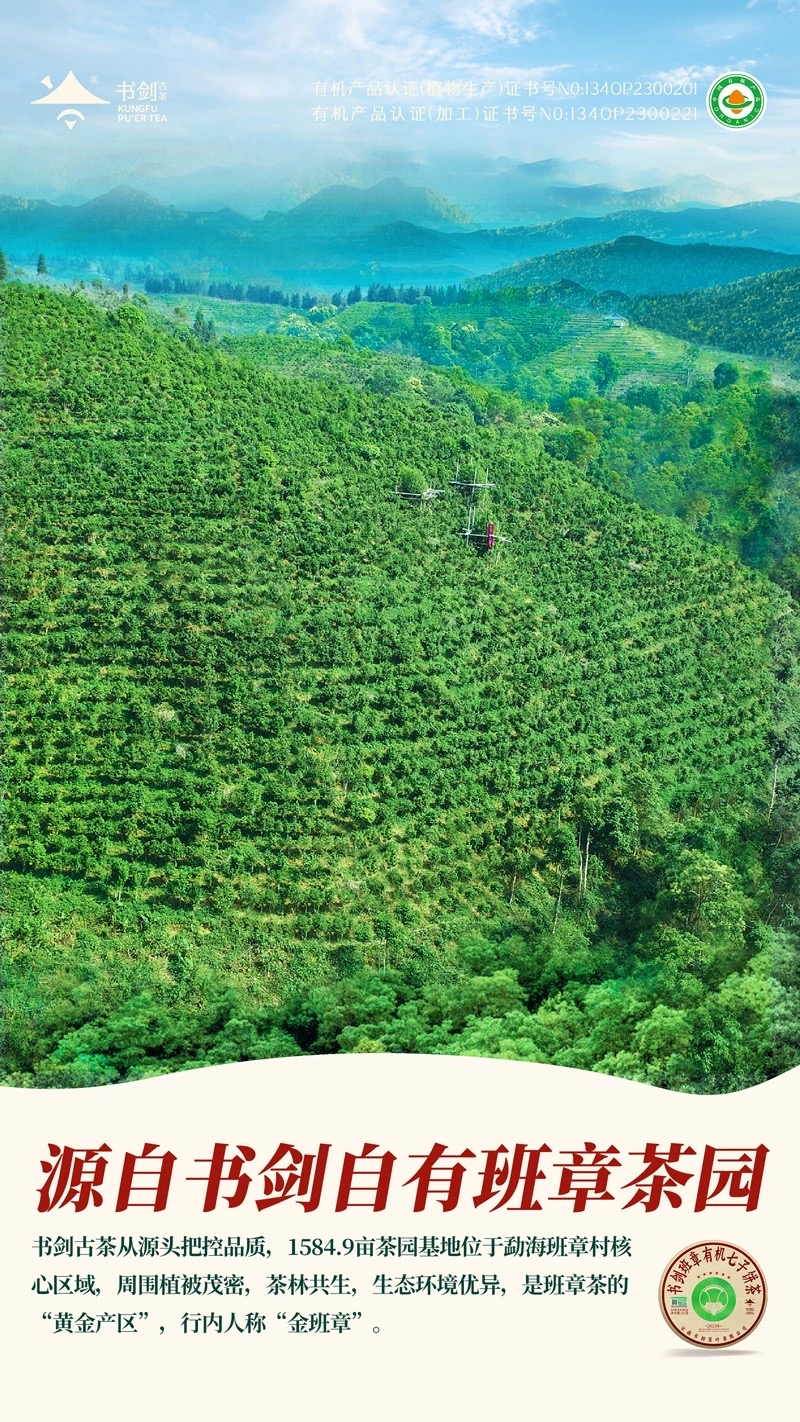 【高端款·普洱臻萃茶礼】敬世界一杯中国茶荣获金奖有机茶饼普洱熟茶品质好礼