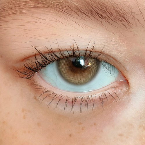 i-DOL(URIA) - BADCAT Siamese Beige (1day/10P)