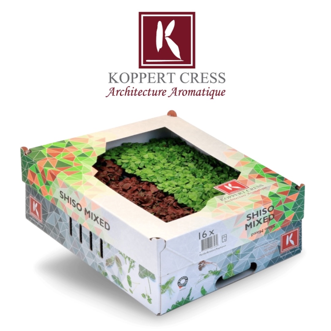 💧荷蘭 微型蔬菜 Holland Koppert Cress Shiso Mix Microgreens