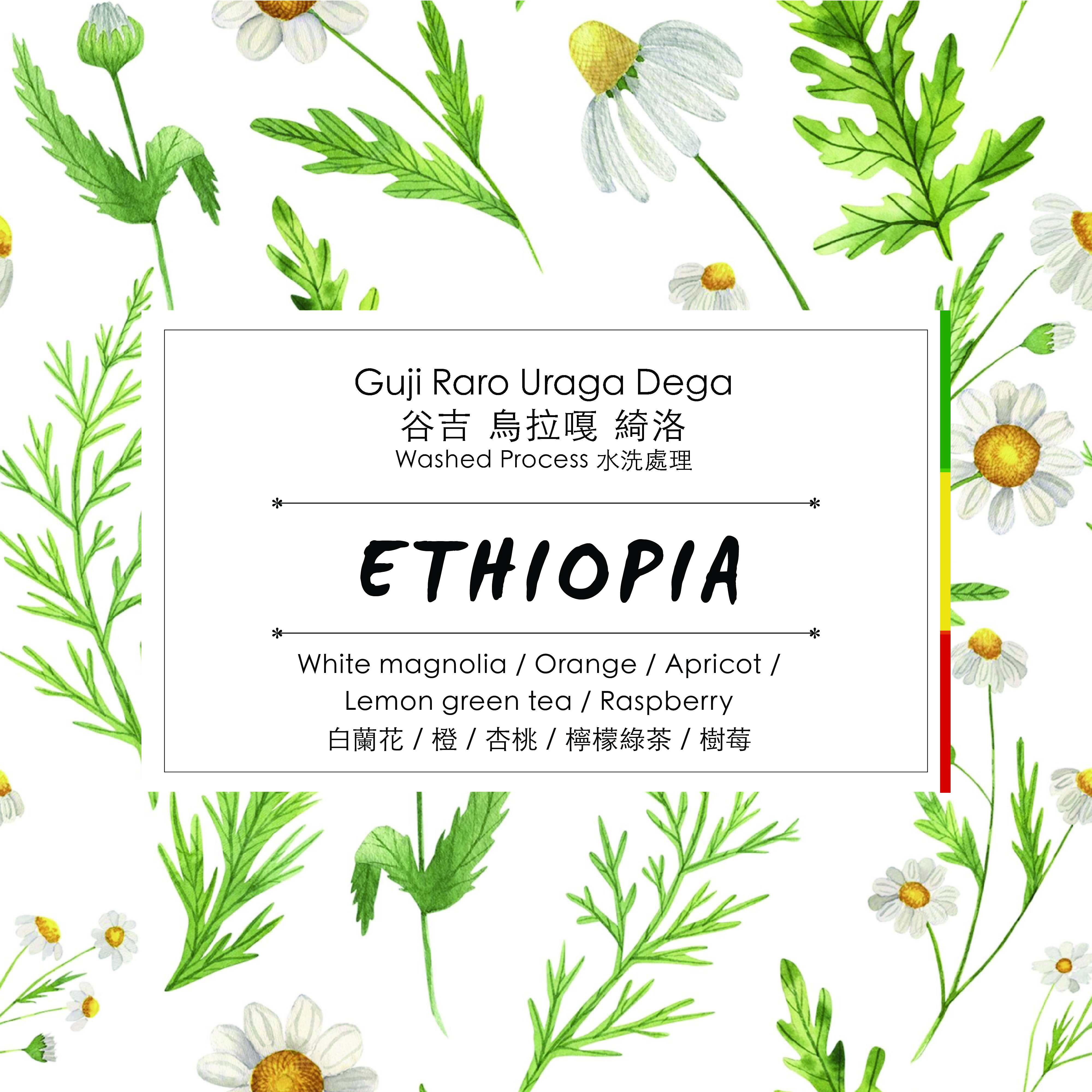 ( 手沖 )  Ethiopia - Guji Raro Uraga Dega Washed Process