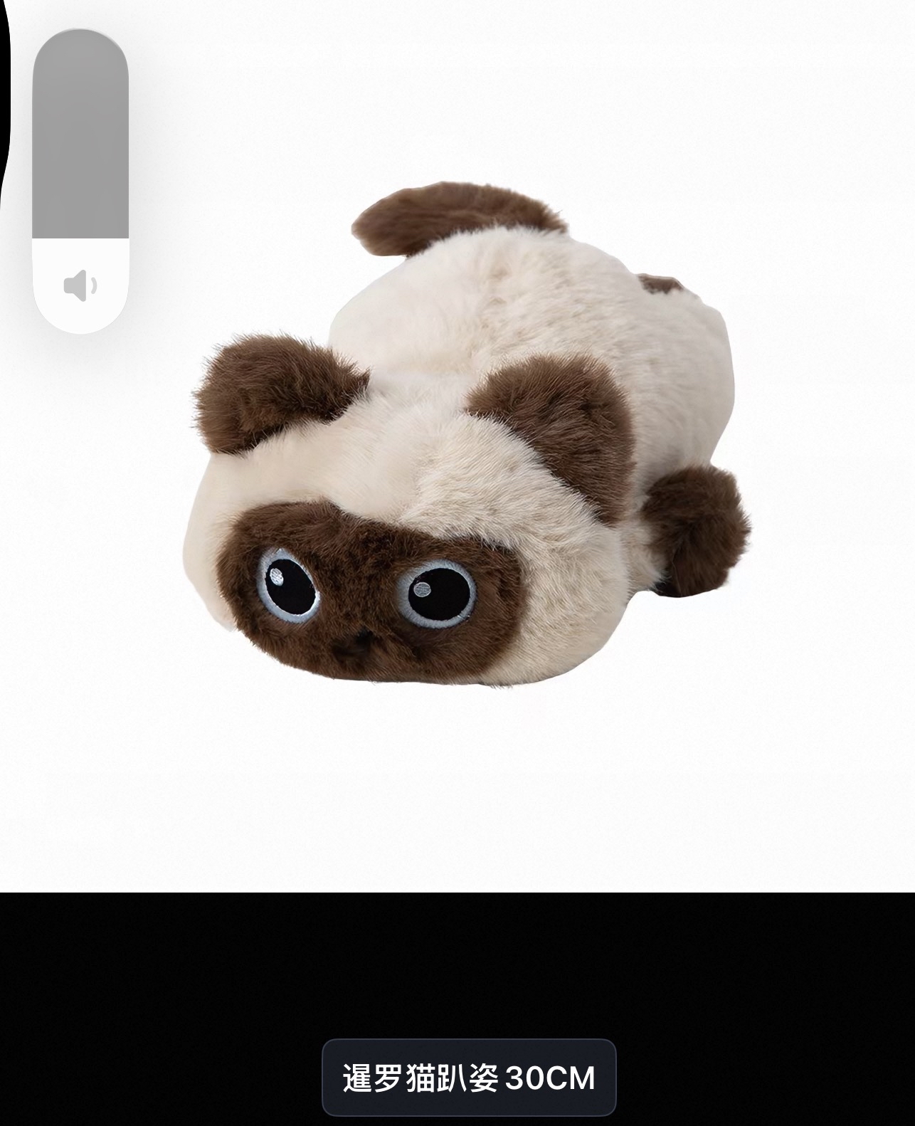 Cat Plush Toy
