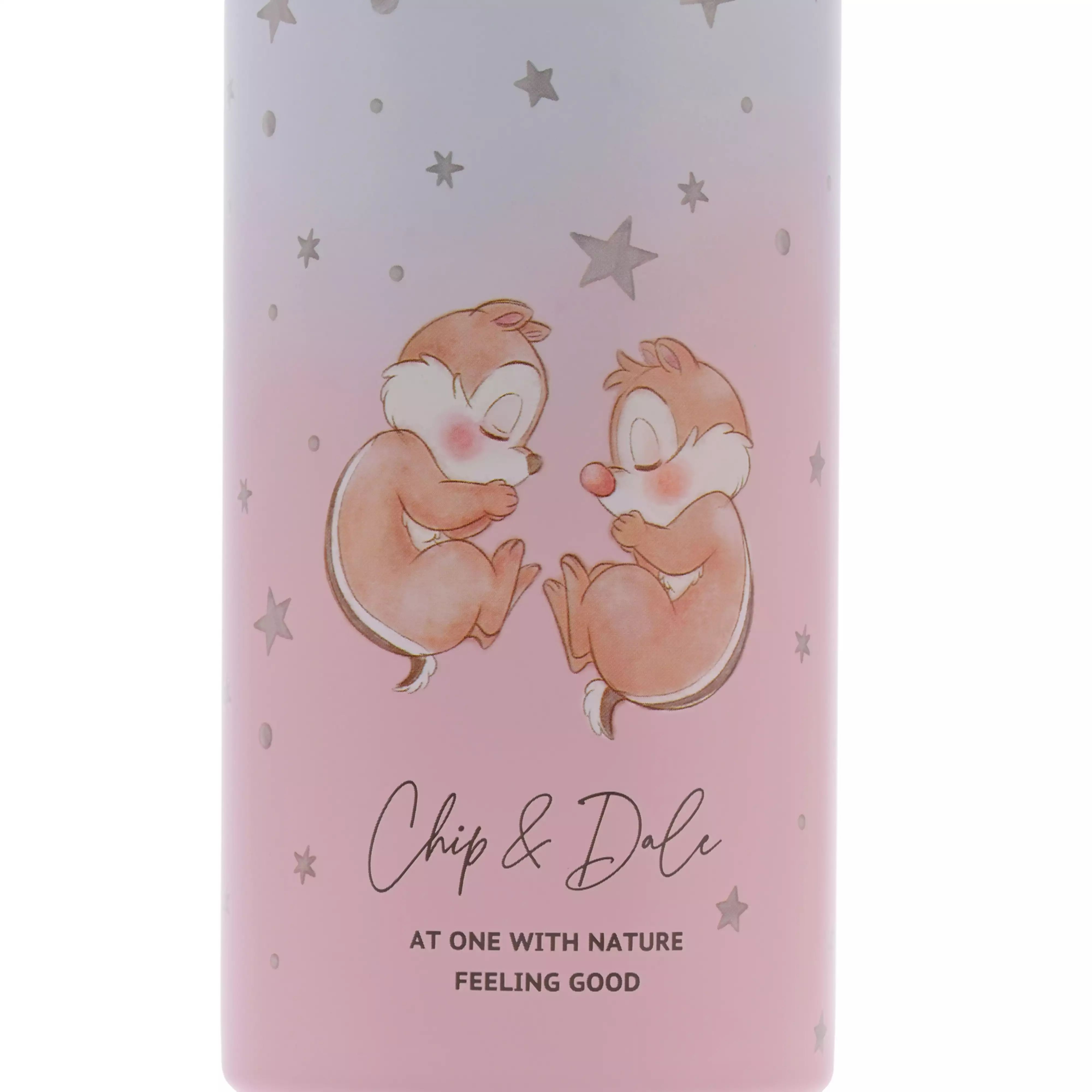 🌸 【預訂】Chip n Dale 水杯 500(ml)  - 9/7新品