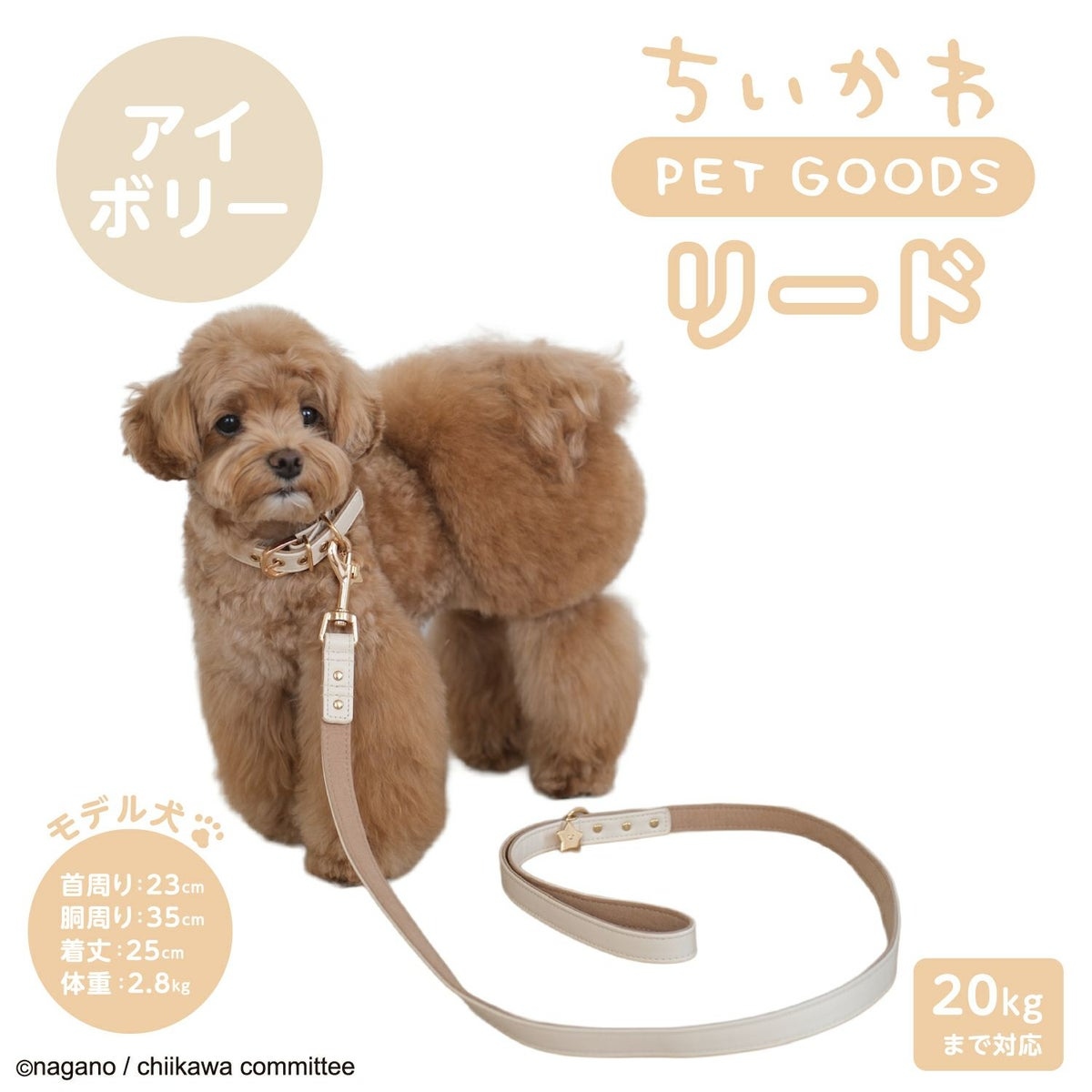 🌸 【預訂】Chiikawa 小型犬用 狗帶(合皮)