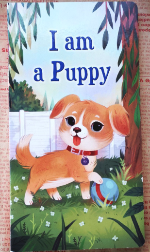 Animal Stories I am a bunny 幼兒啟蒙小動物紙板書｜5 books｜點讀版