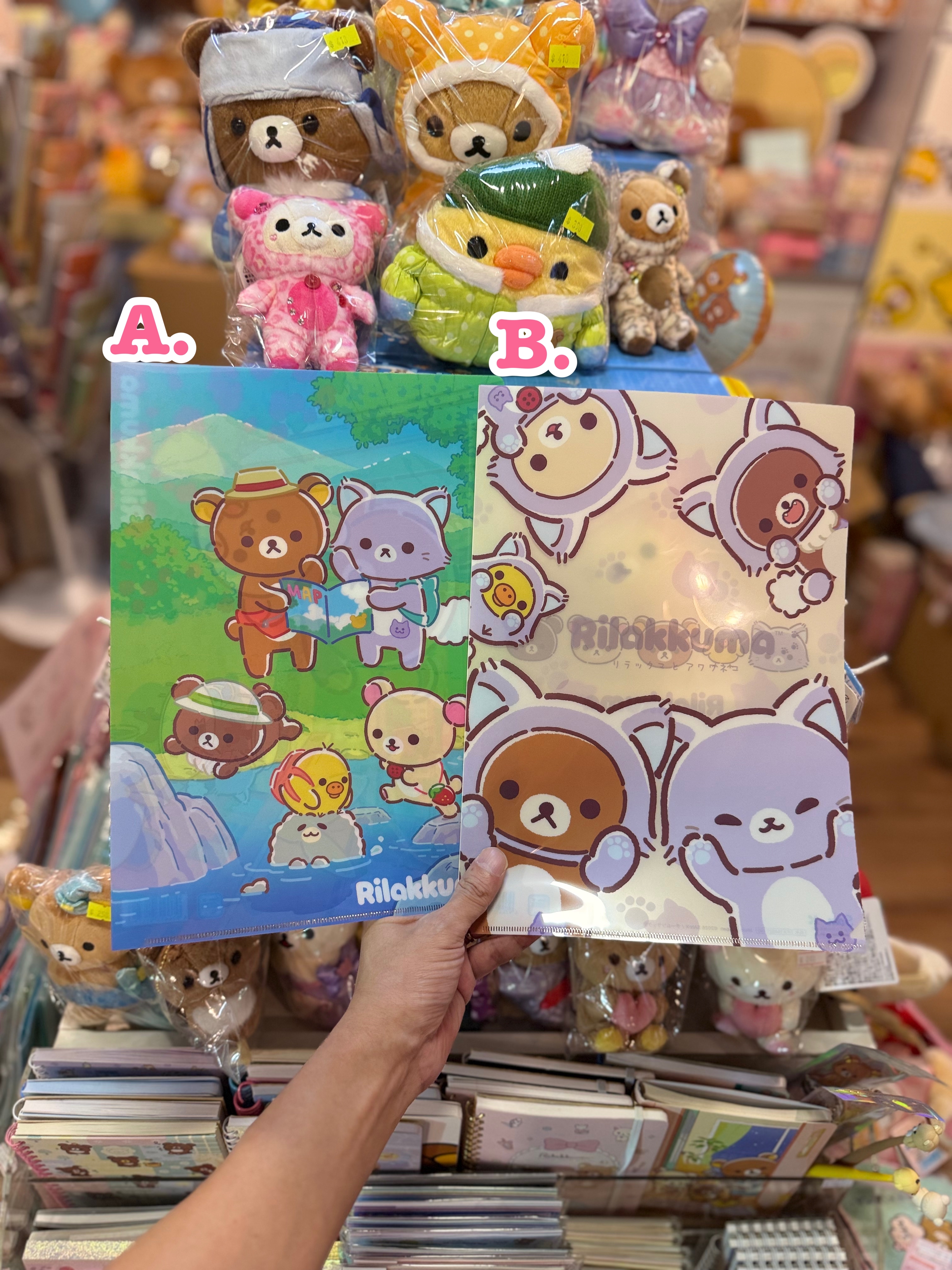 《現貨》全新Rilakkuma瓦瓦貓系列A4 file