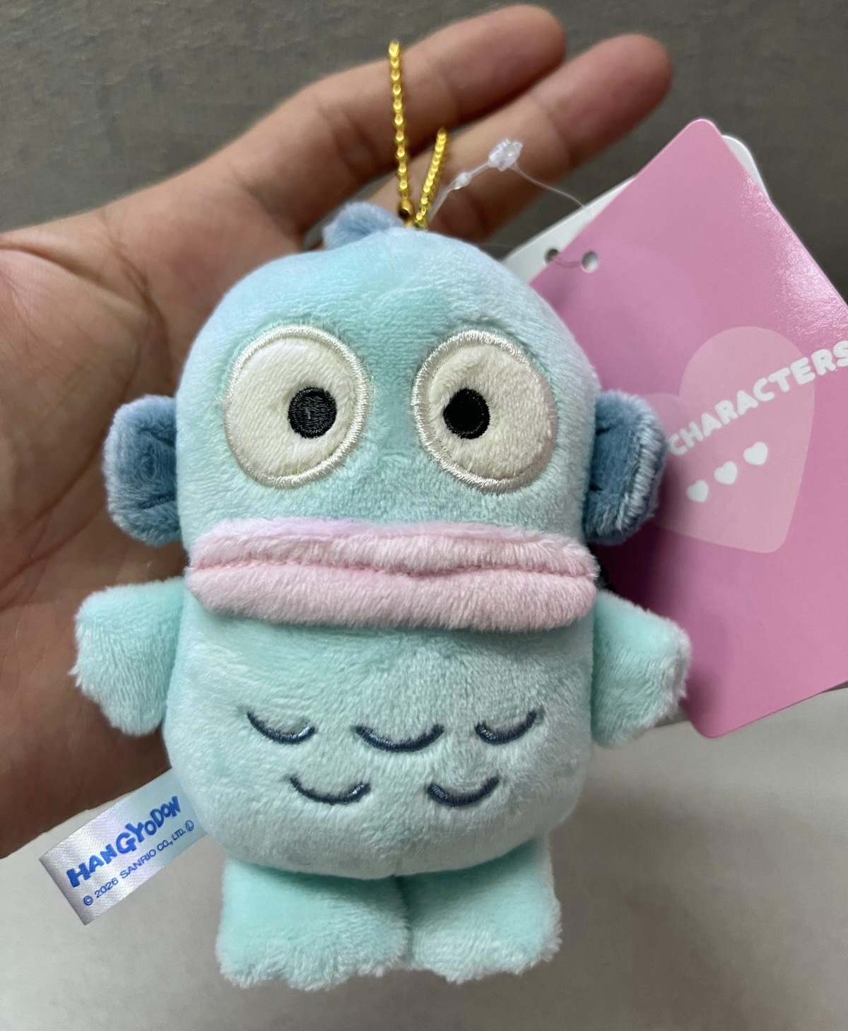 🎌日本直送🎌Sanrio 日本限定款 公仔掛飾