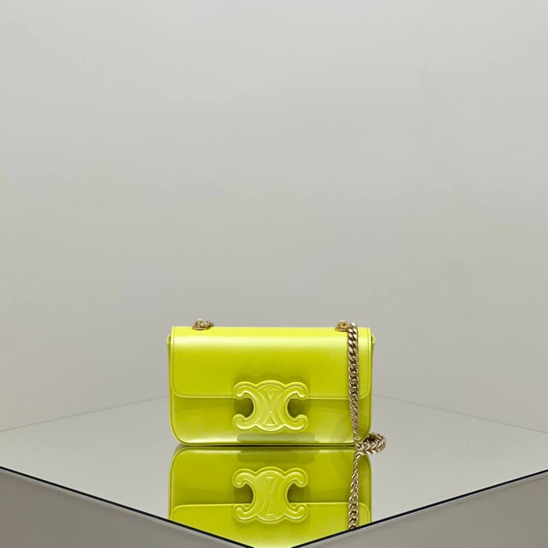 🔥大货实拍图 𝗖𝗘𝗟𝗜𝗡𝗘 ♥ 𝗧𝗥𝗜𝗢𝗠𝗣𝗛𝗘浮雕腋下包 型号：199243 尺寸：20.5*11.5*4cm