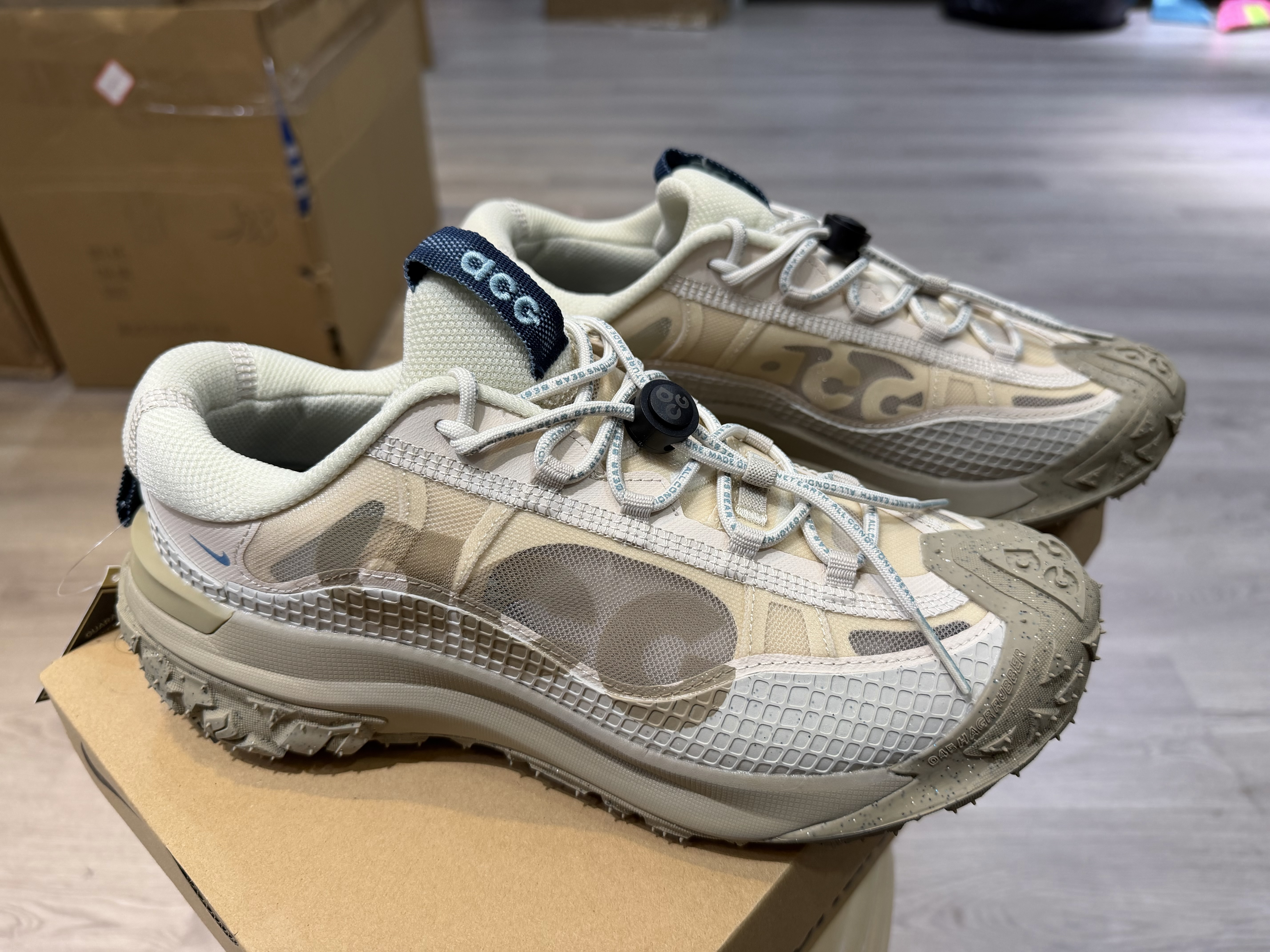 Nike ACG Mountain Fly 2 Low