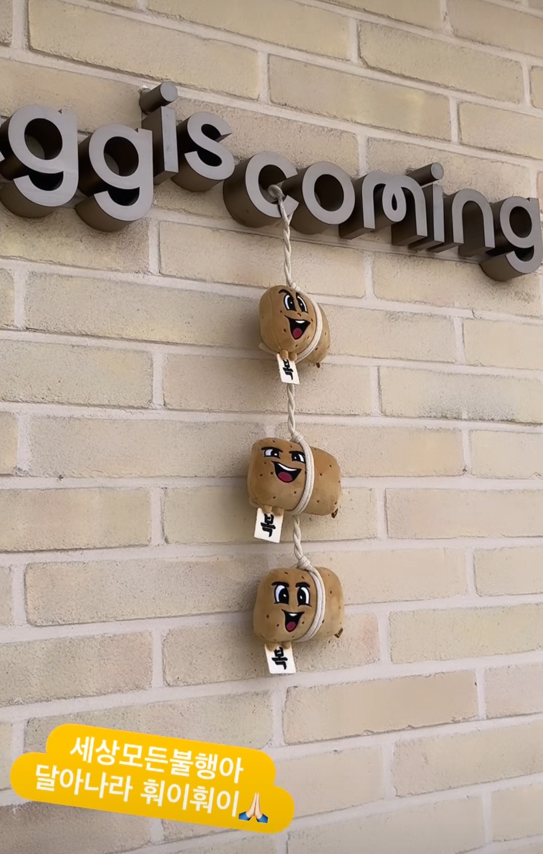 [ 羅PD eggiscoming ] KKPP Food 豆豆農場：動物農場 官方周邊 GBRB: Go Go Farm