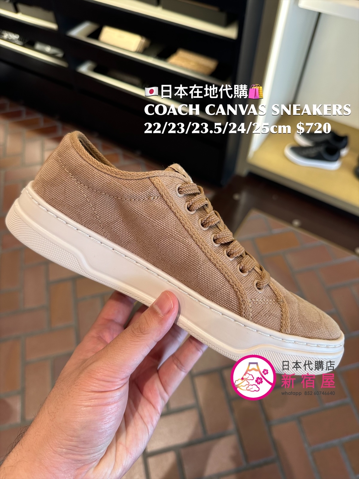 COACH CANVAS SNEAKERS