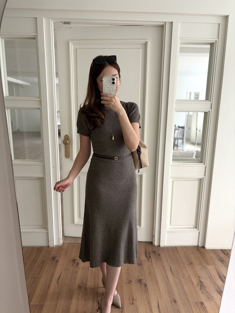 Timeless Belted Knit Dress (Brown)
