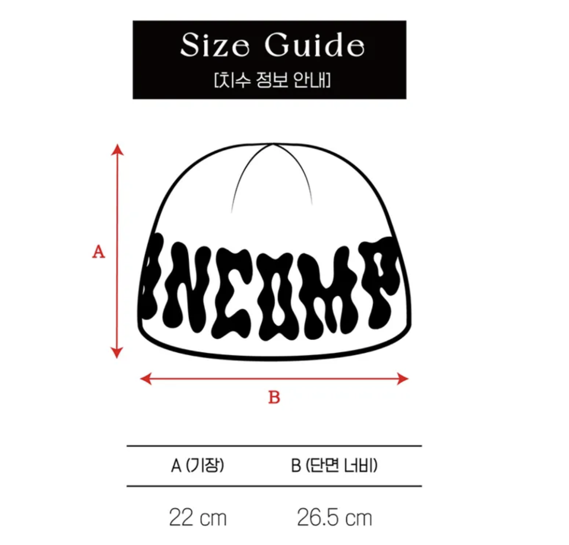 金泰亨同款｜韓國 ALLINCOMPLETE 針織毛球提花冷帽 4色選｜PomPom Logo Jacquard Beanie