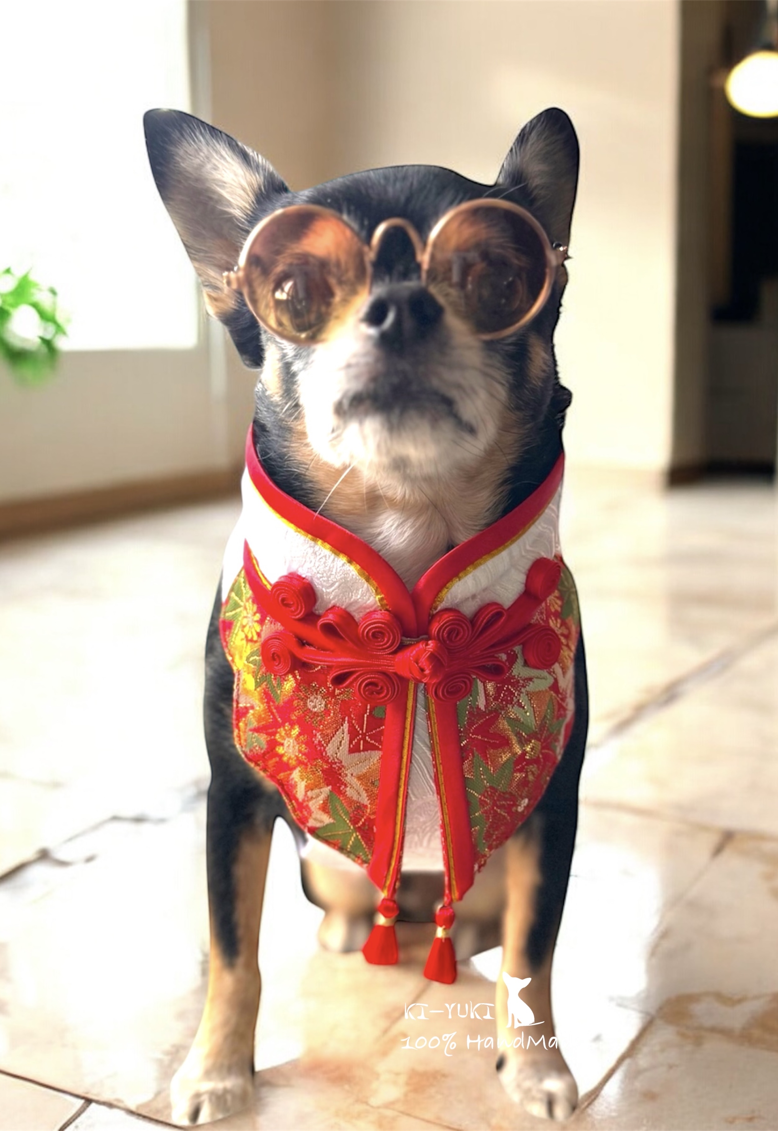 2026新春作品 賀歲寵物外出胸背帶 唐裝風格