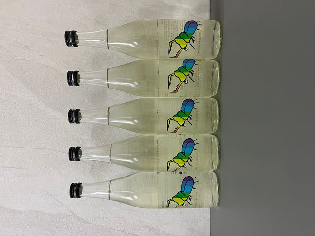 【超限定】 仙禽 カブトムシ UA 一升 PXL_20240702_041243391.
