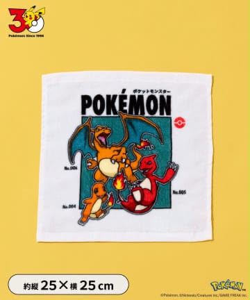 ✨連線商品需補運費✨日本 3COINS x Pokemon 30週年 迷你毛巾 (25x25cm)