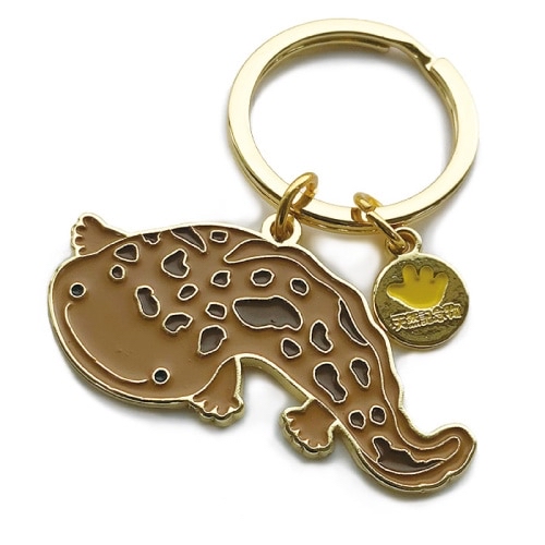 Field Point -大鯢鎖匙扣