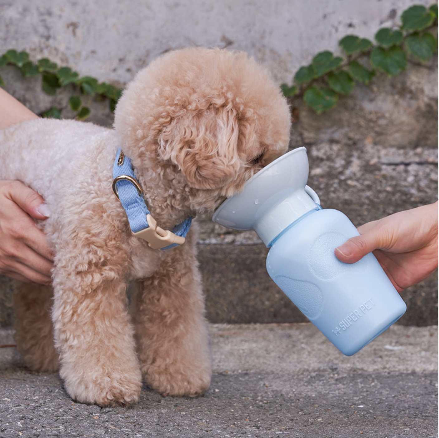 *Super Pet🇰🇷手提寵物充氣水樽