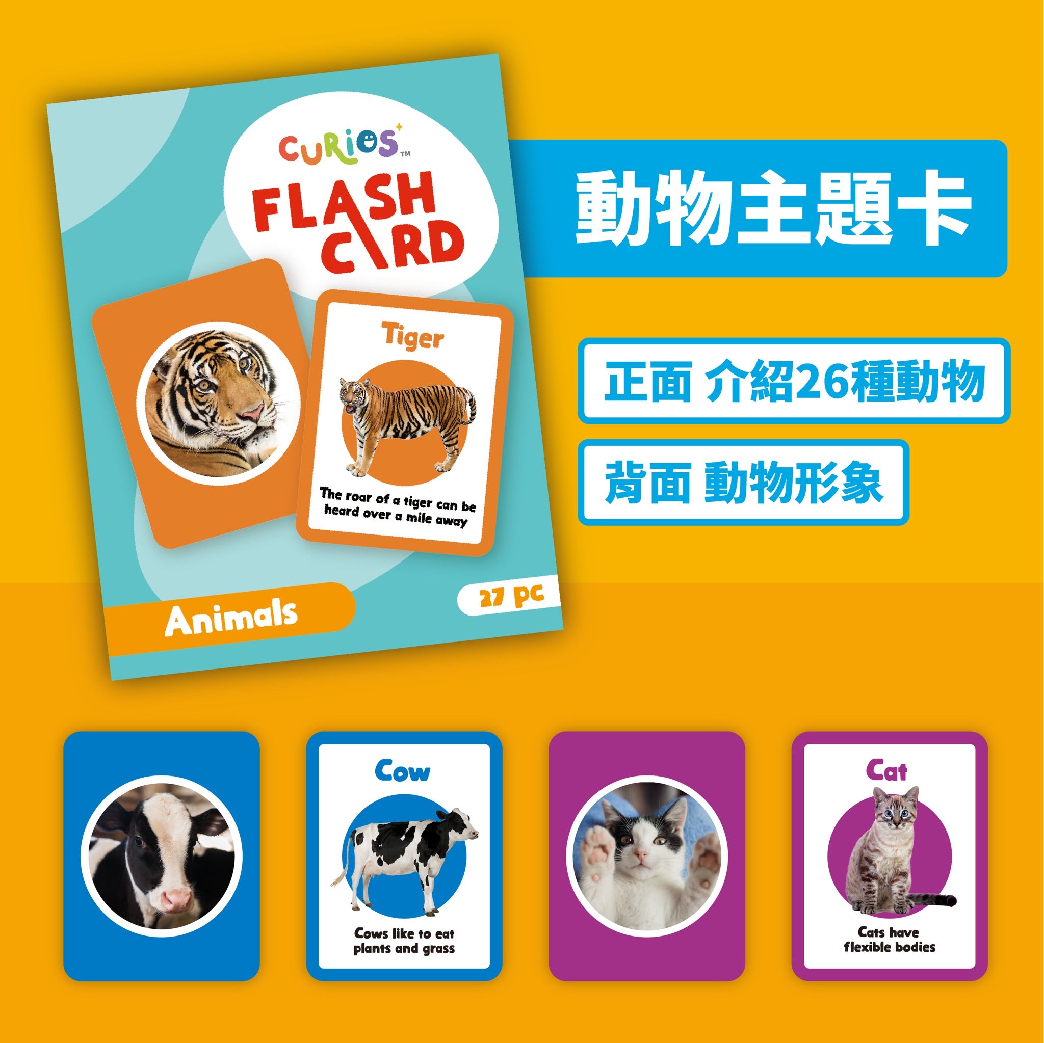 Curios Flashcard 英文識字卡