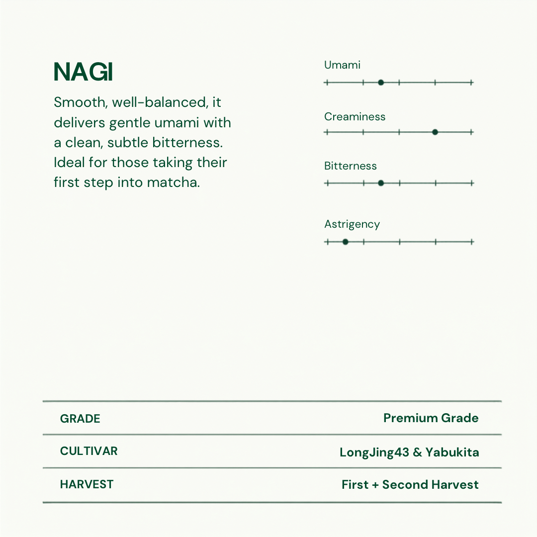 ZENZY MATCHA | NAGI MATCHA POWDER