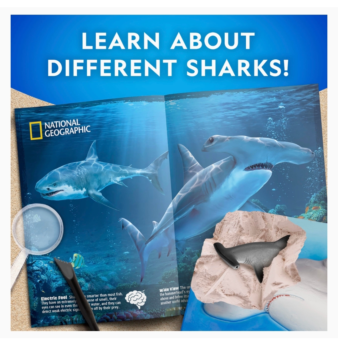 National Geographic鯊魚挖掘玩具 STEM科學考古體驗 Shark Dig Kit 兒童益智探索套裝