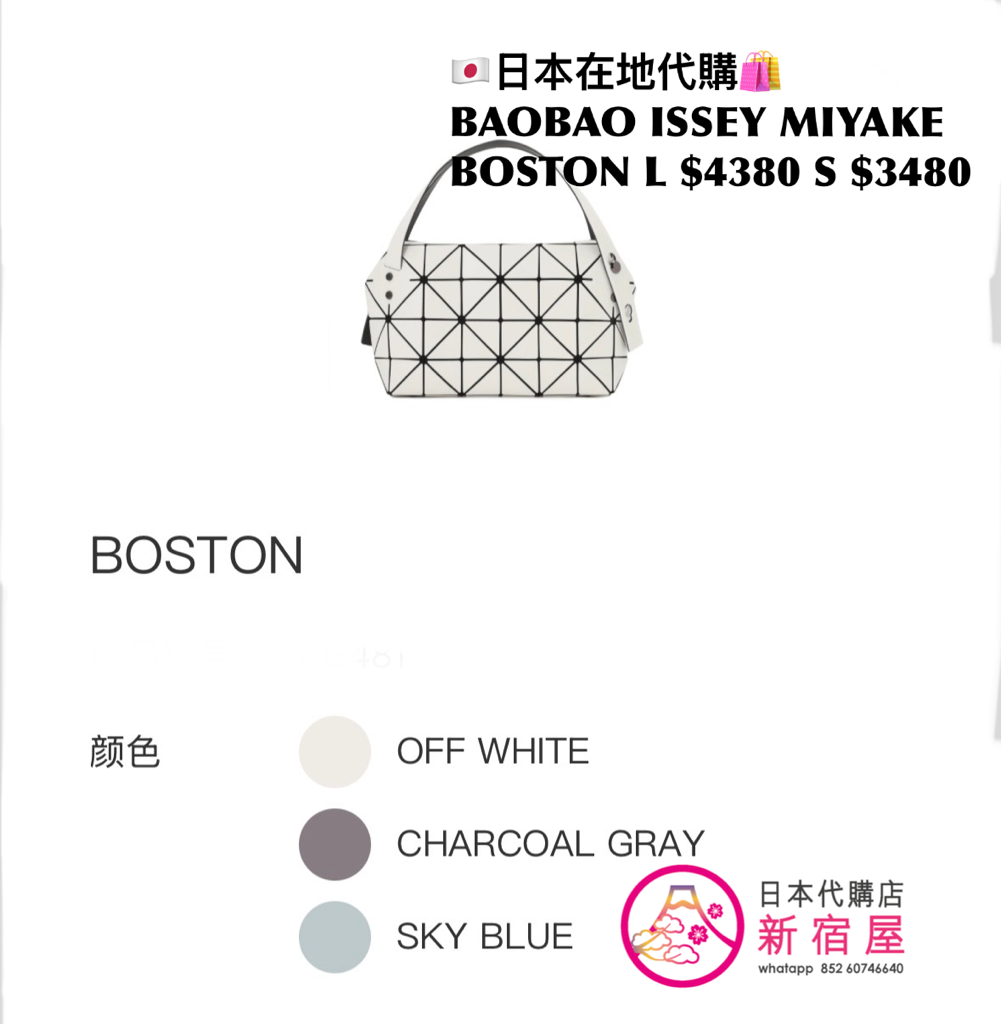 BAOBAO ISSEY MIYAKE BOSTON L/S