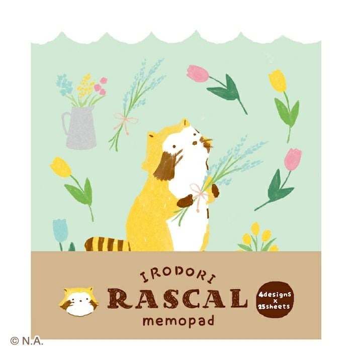 現貨｜IRODORI RASCAL 小浣熊 日本製 便條紙 Memo Notepad (花 LM393)