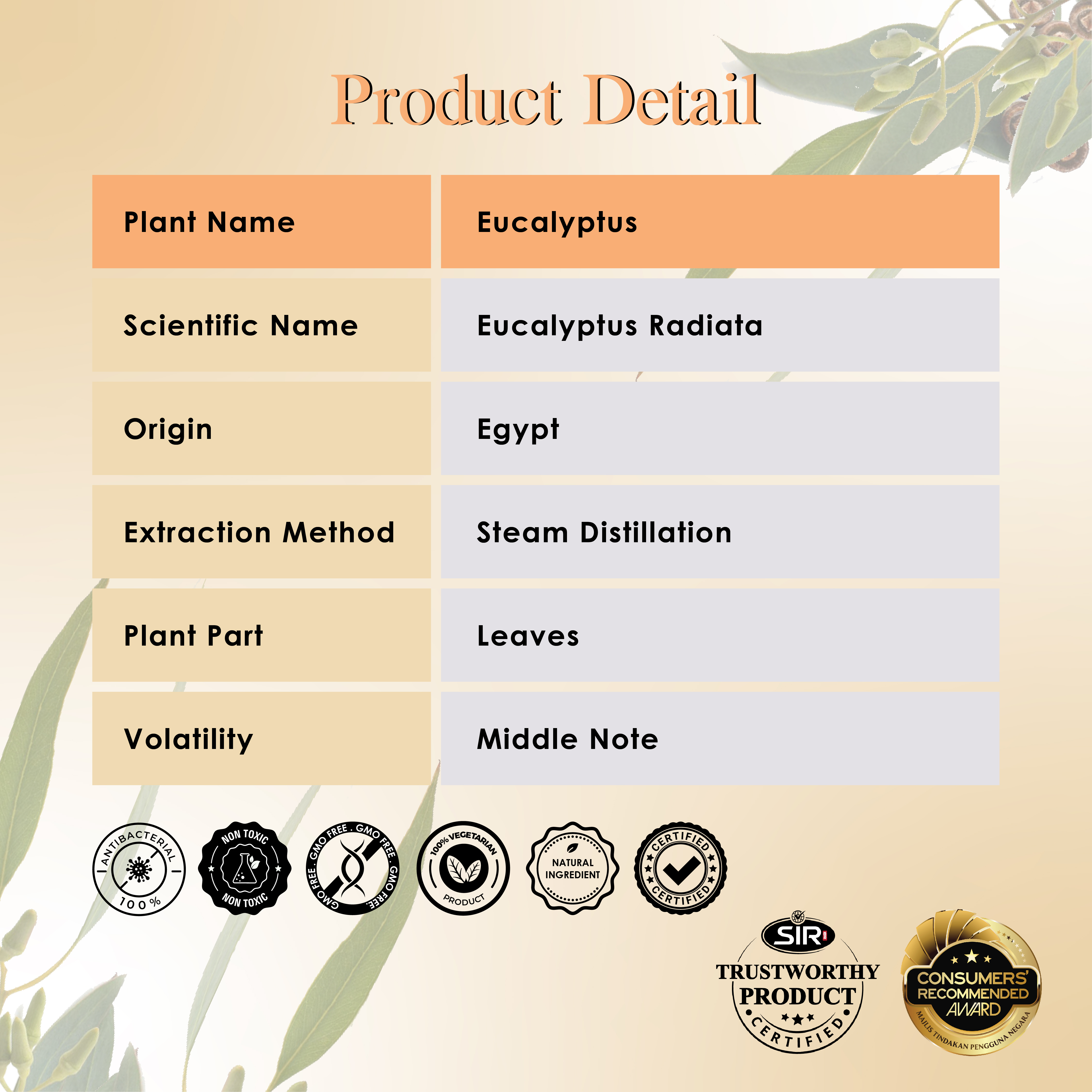 Eucalyptus Essential Oil (10ml)