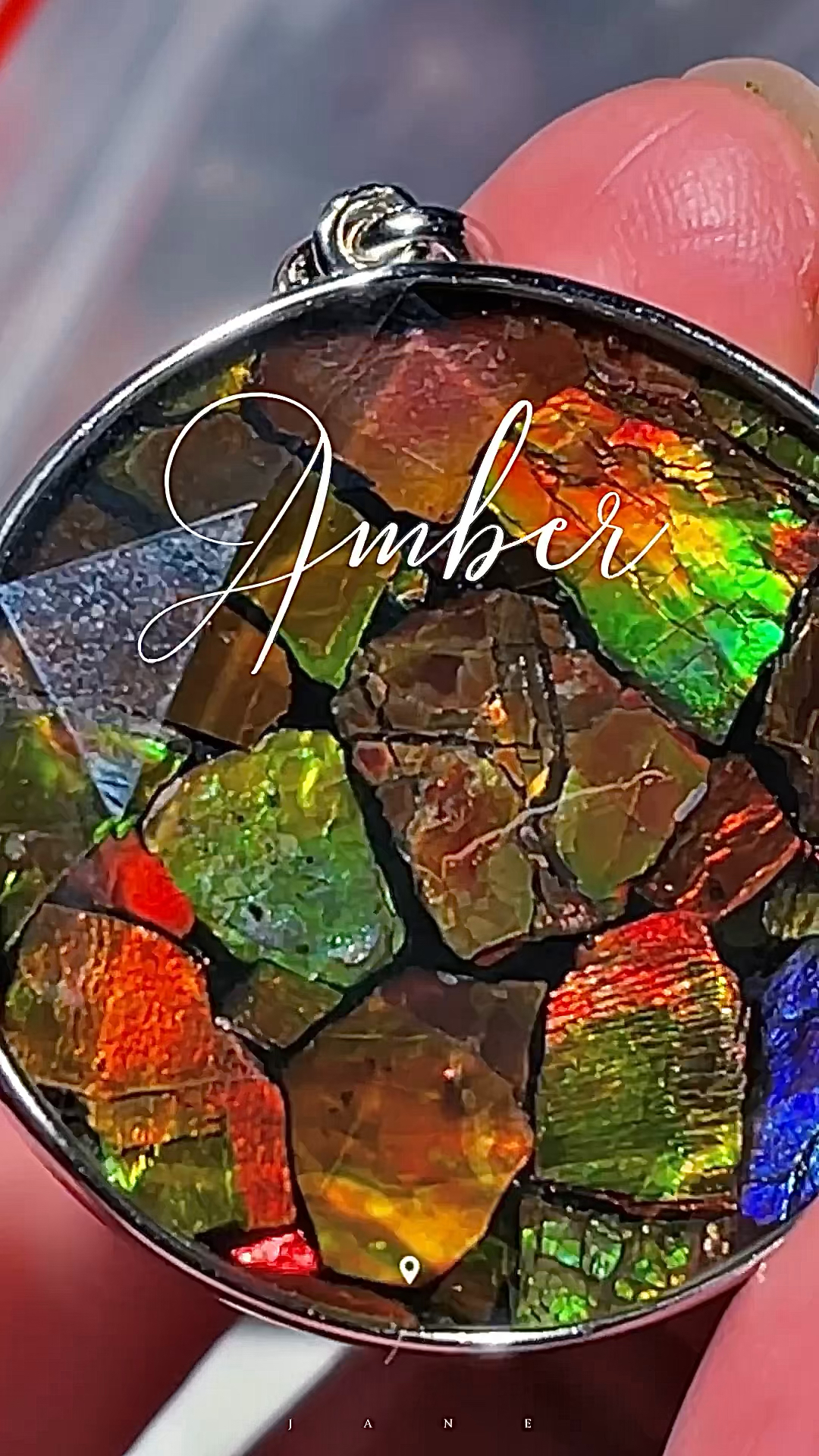 斑彩螺 ammonite 加拿大