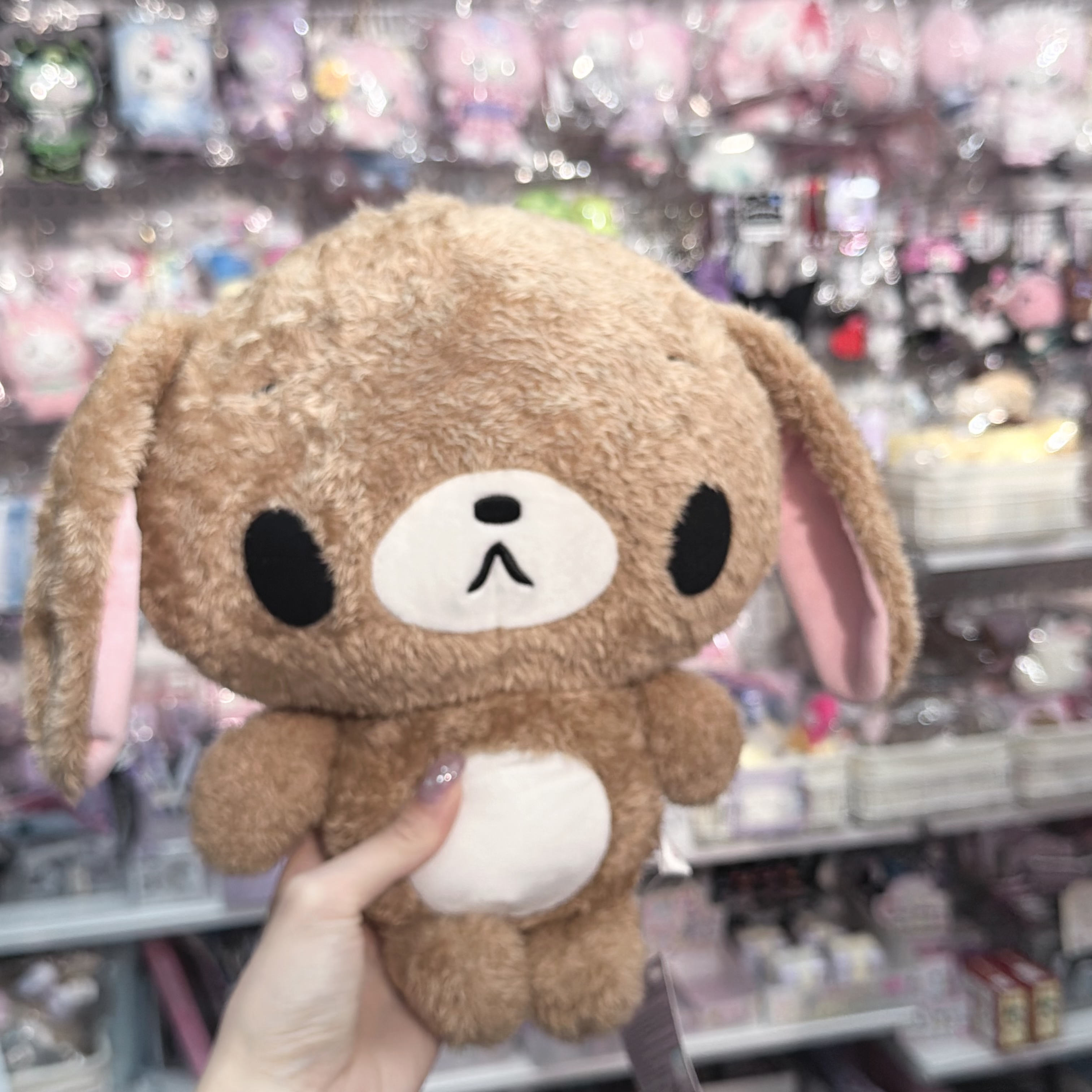 韓版SugarBunnies
