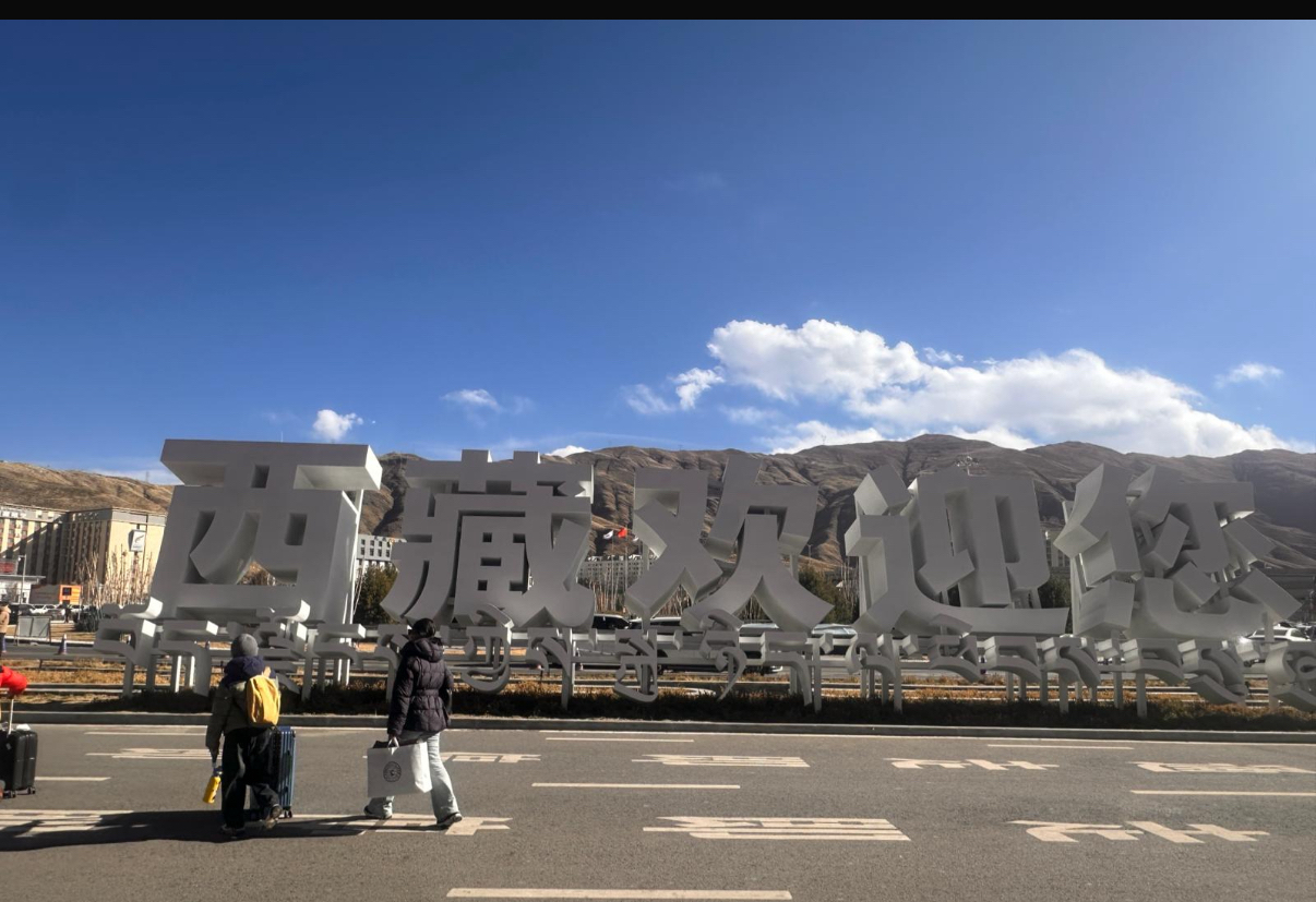 激底一團西藏野生那曲冬蟲草