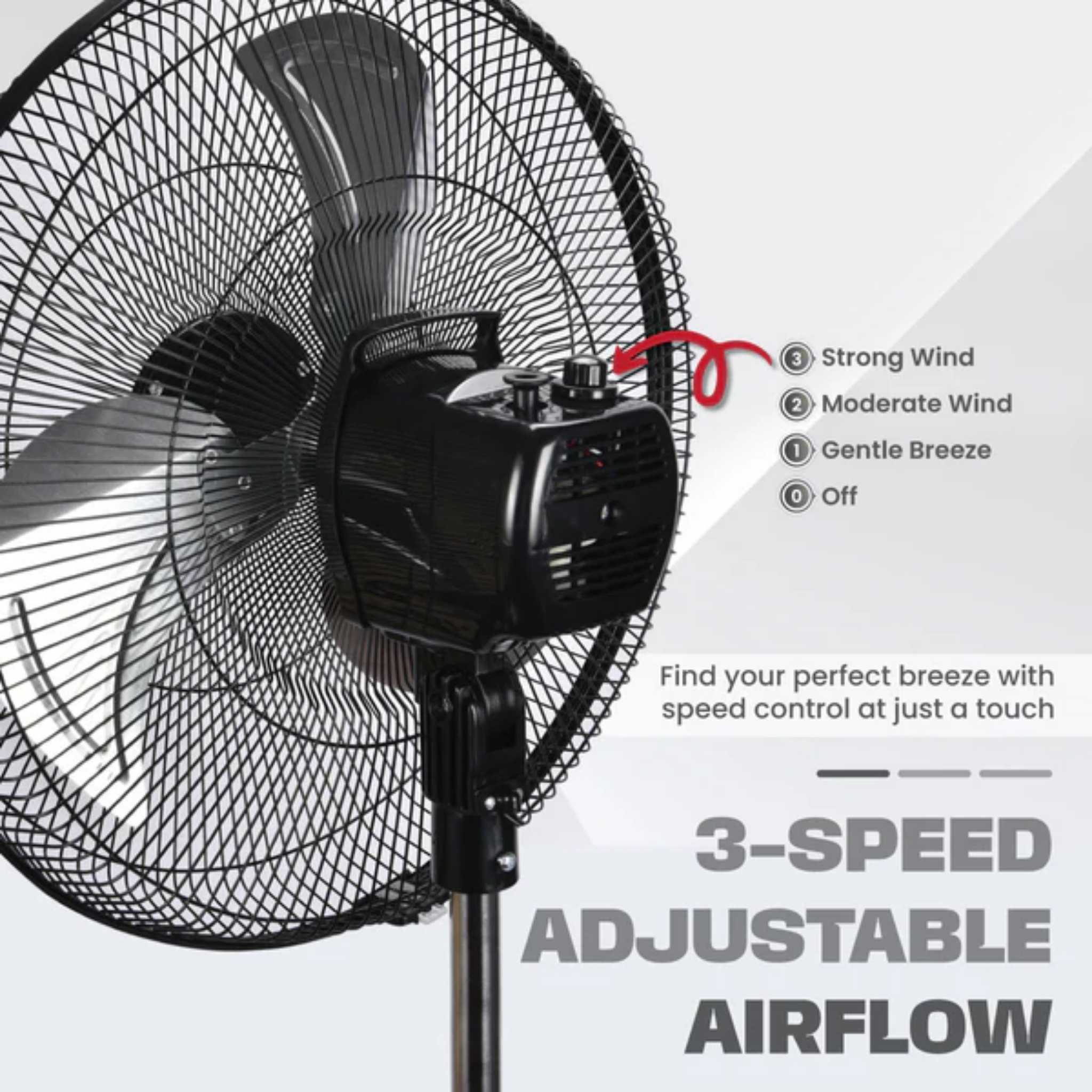 Russell Taylors 16" Stand Fan (SF6)