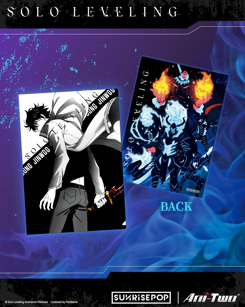 📦訂購 台灣代購 SUNRISEPOP 我獨自升級 成振宇&闇影士兵們款 A4 File 文件夾📁