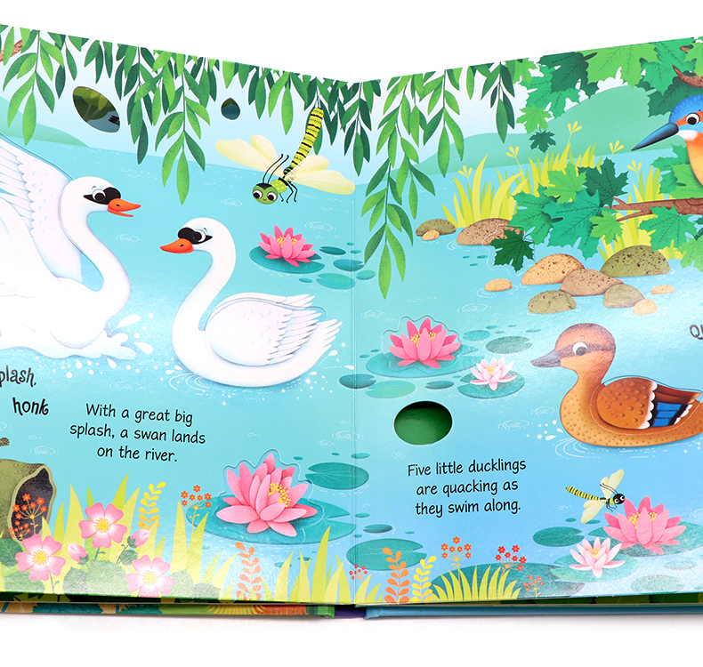 Usborne Bird Sounds book鳥類奇妙觸摸發聲書 