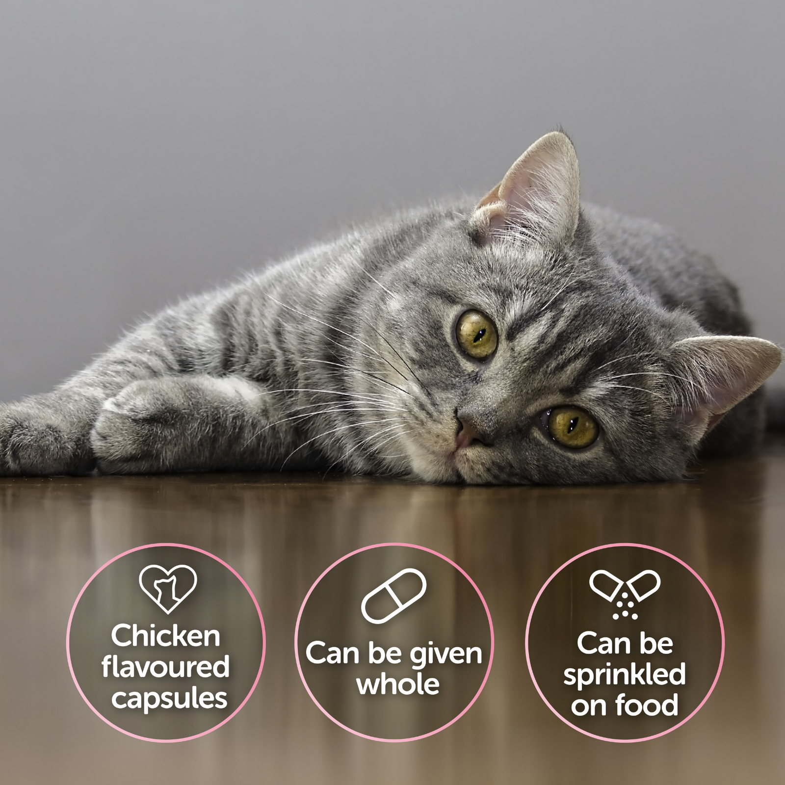 Protexin Cystophan For Cat 泌尿道疾病控制膠囊 240粒 (貓咪專用)