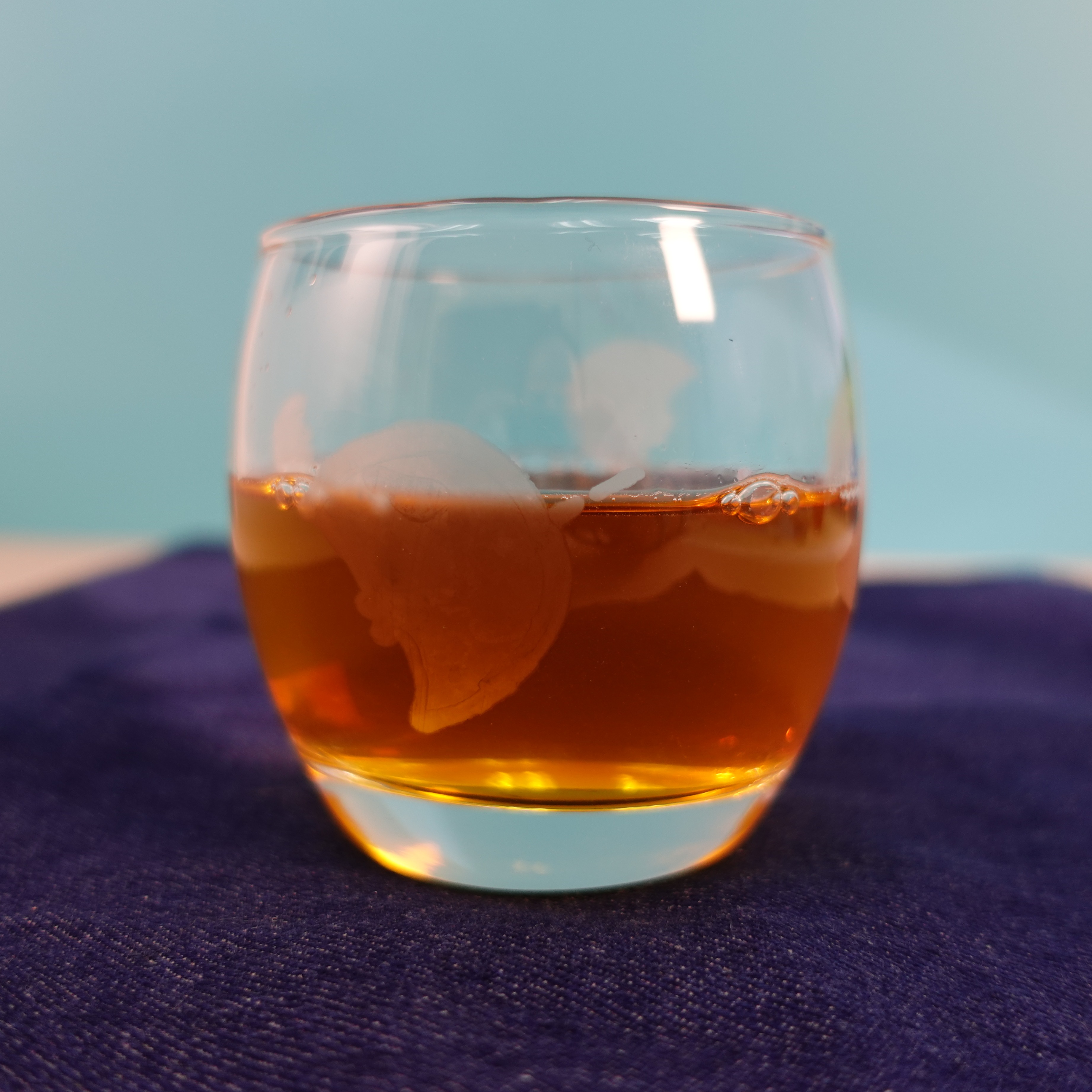 【魔鬼魚系列】魔鬼魚印花玻璃杯 (MC-MR08)