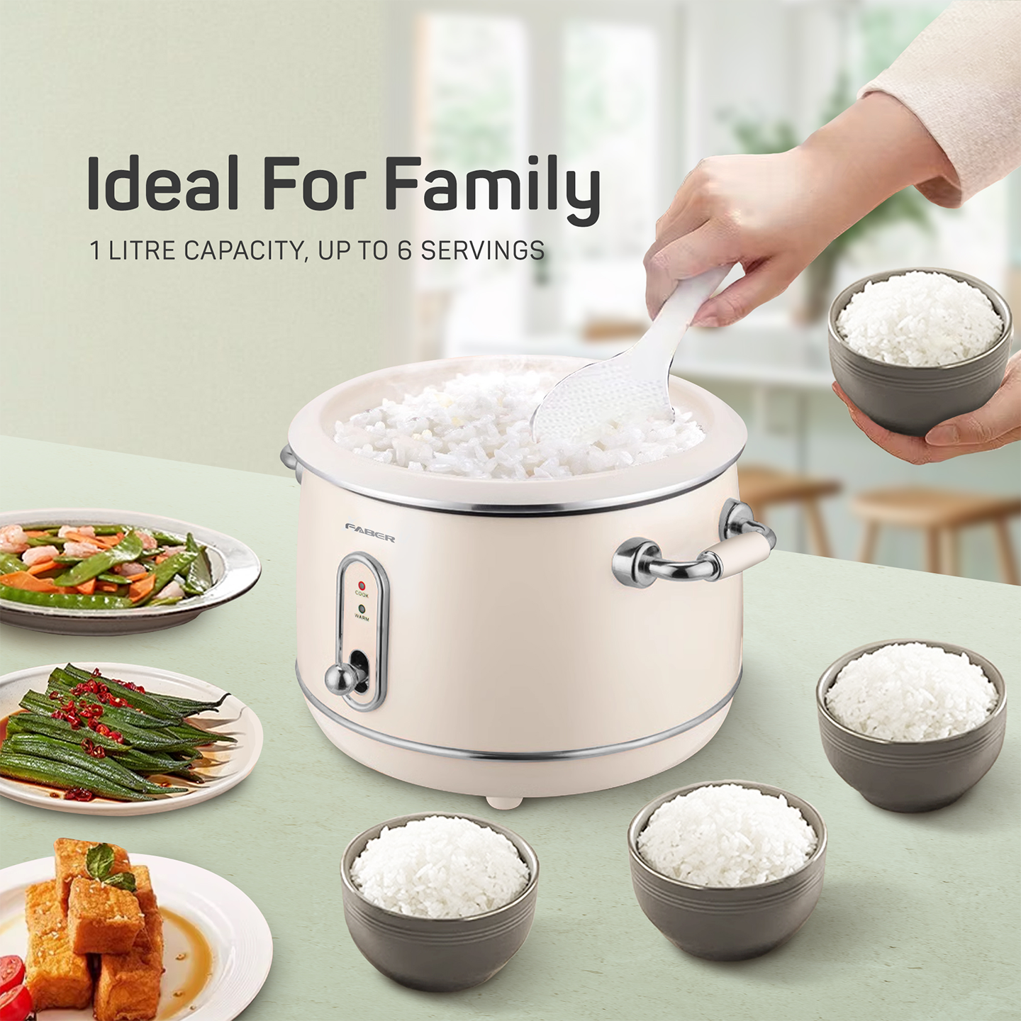 Faber 1.0L Traditional Rice Cooker FRC V401