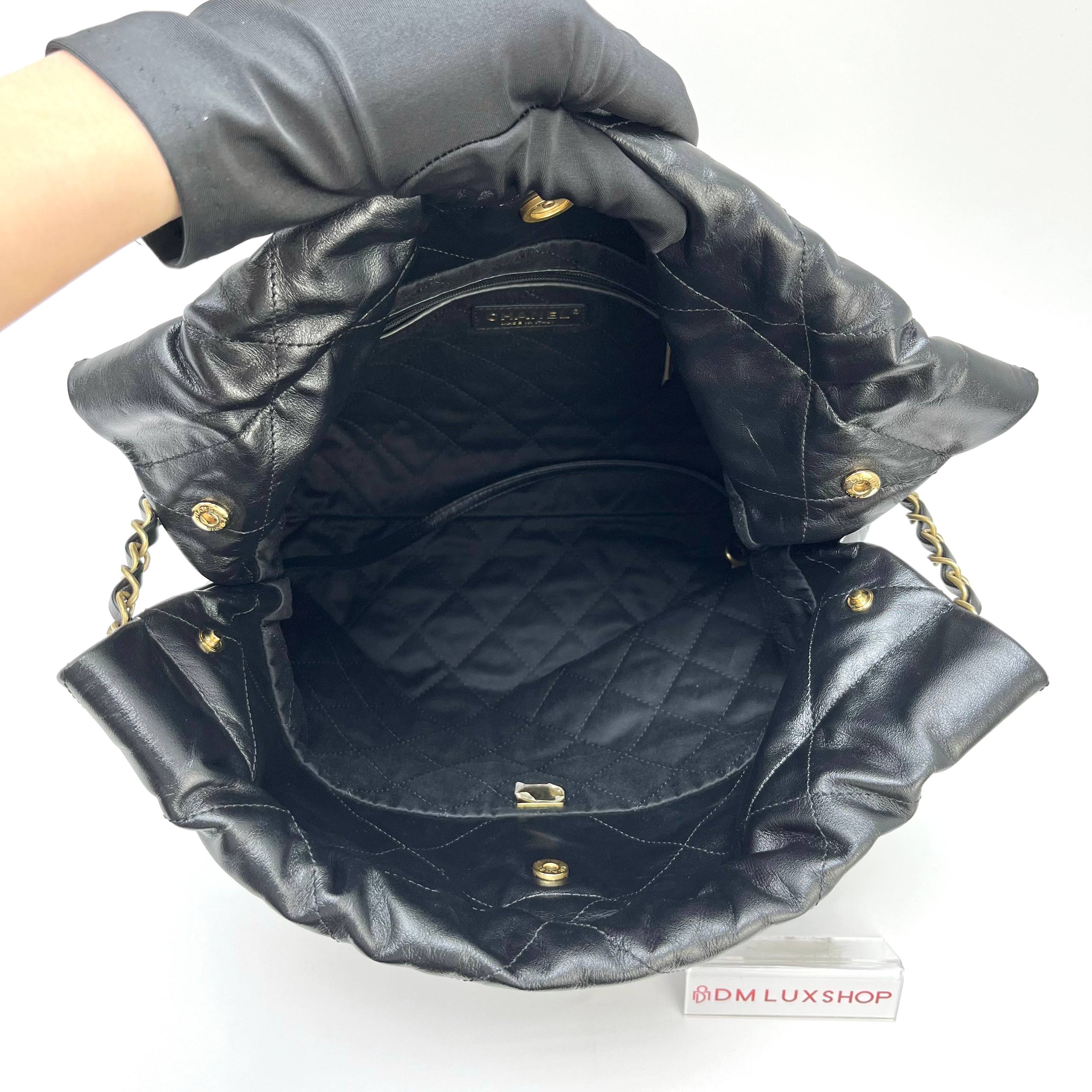 Chanel 22 Small GHW (Microchip)