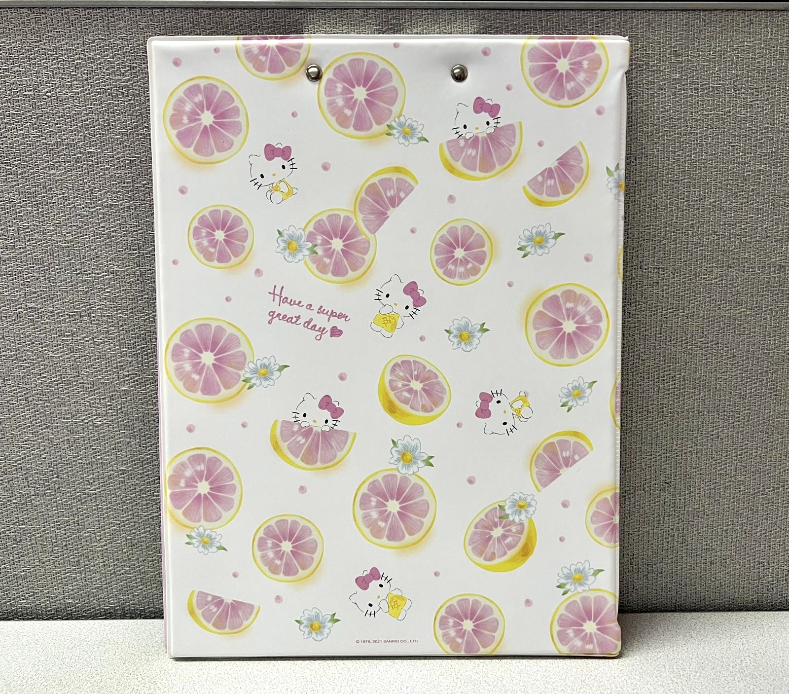 🎌日本直送🎌Sanrio 卡通 文件板連File