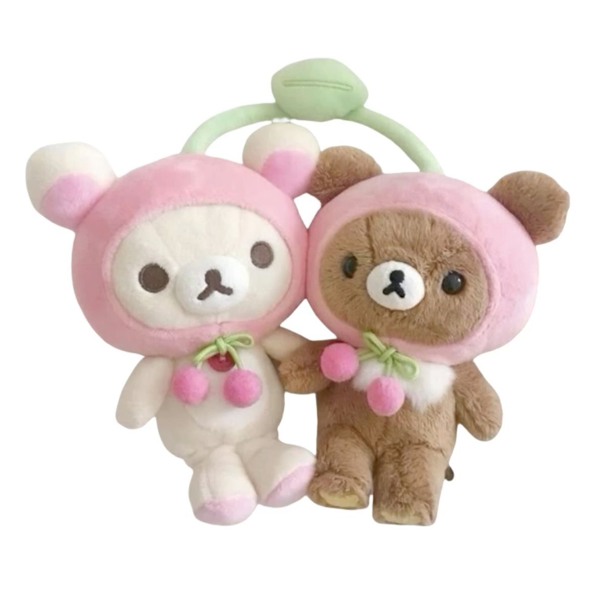 Twins bear