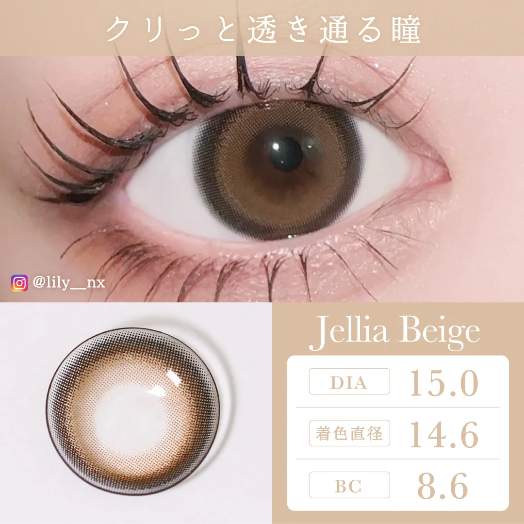 TeAmo - Toric Jellia Beige (1day/10P)
