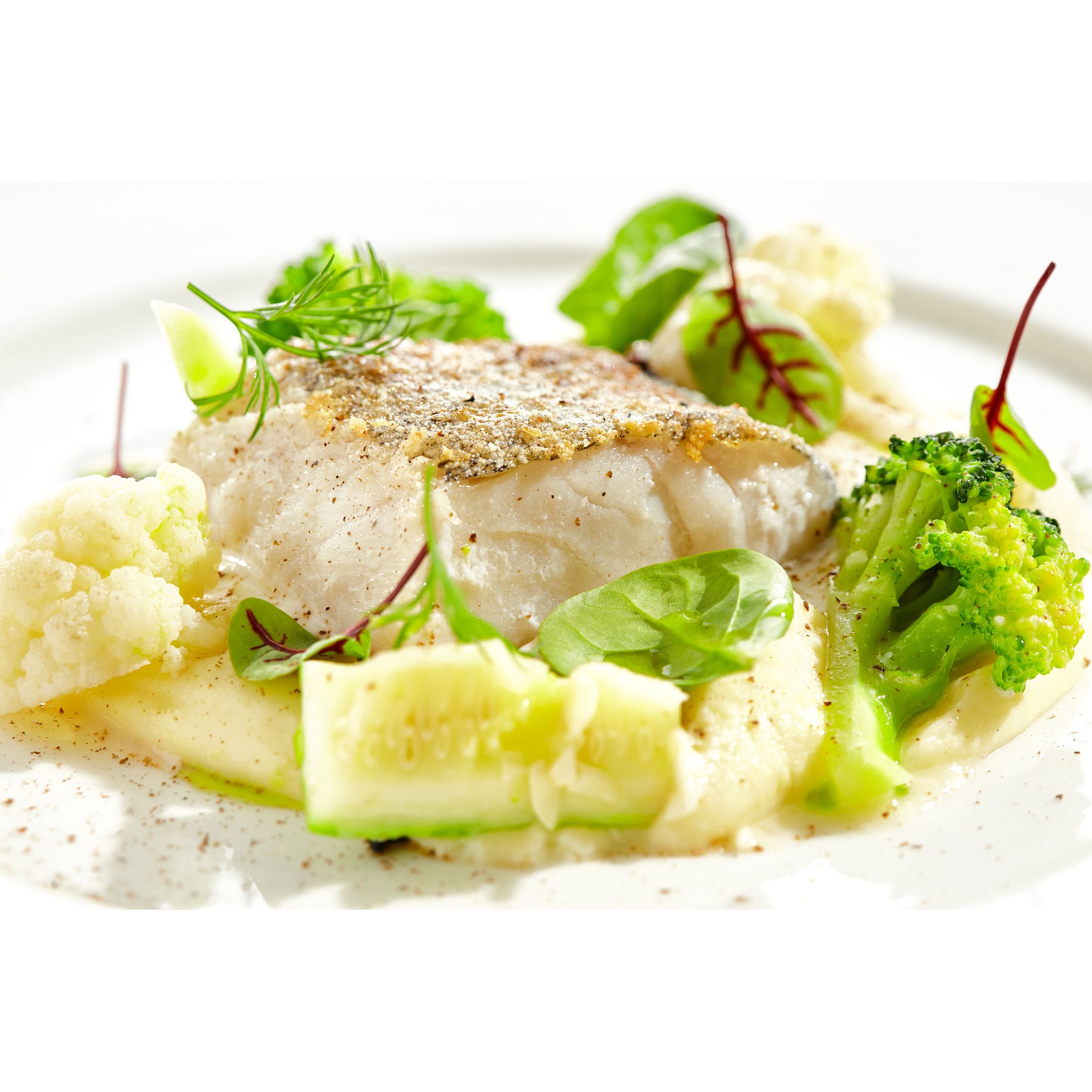 <14/7 - 20/7 購物優惠> Frozen Black Cod Fillet (Price per kg)  急凍銀鱈魚柳  (每公斤售價)