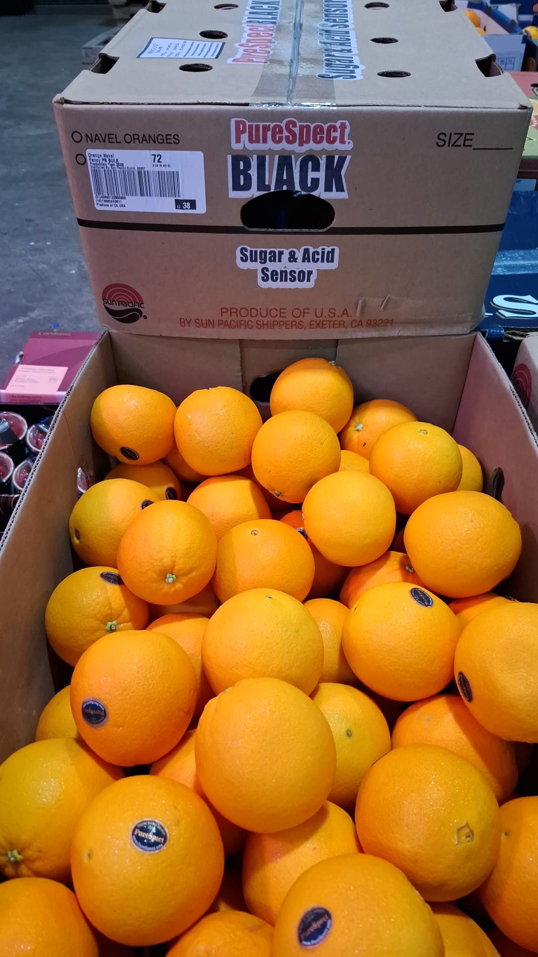 美國黑牌甜橙（72装）每份4個