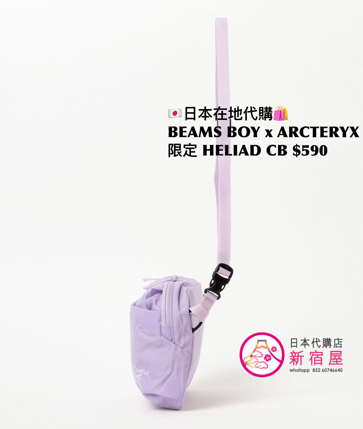 BEAMS BOY x ARCTERYX 限定 HALIAD CROSSBODY