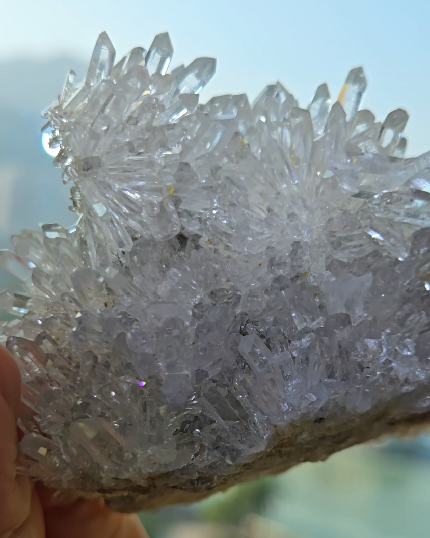 Chrysanthemum needle quartz with flower buds - CQ477