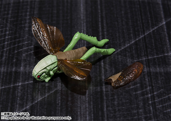 ＜特價＞ (包裝盒背有壓凹) (行版) Bandai S.H.Figuarts 幪面超人 ZO SHF Kamen Rider ZO (2014)