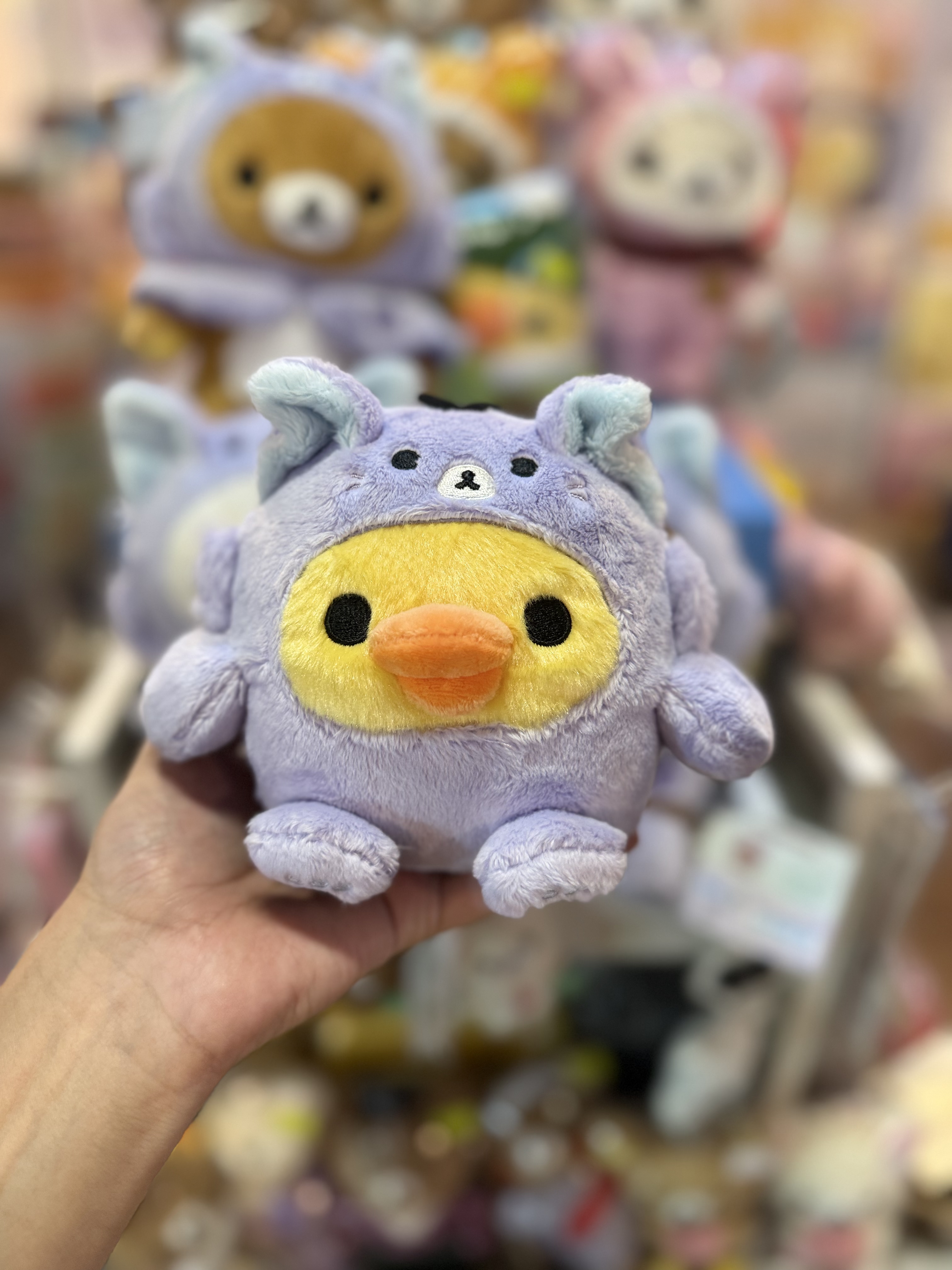 《現貨》全新Rilakkuma瓦瓦貓系列公仔