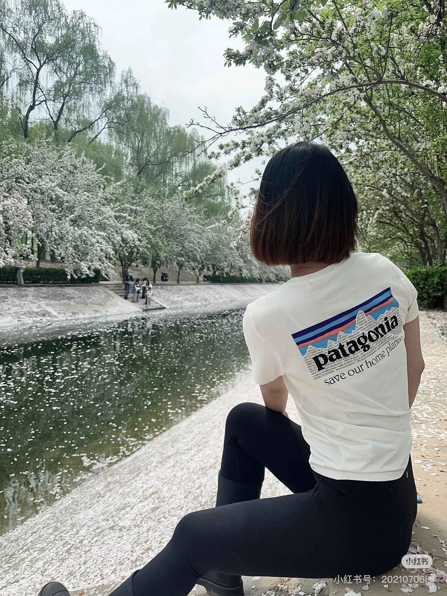 Patagonia Tee