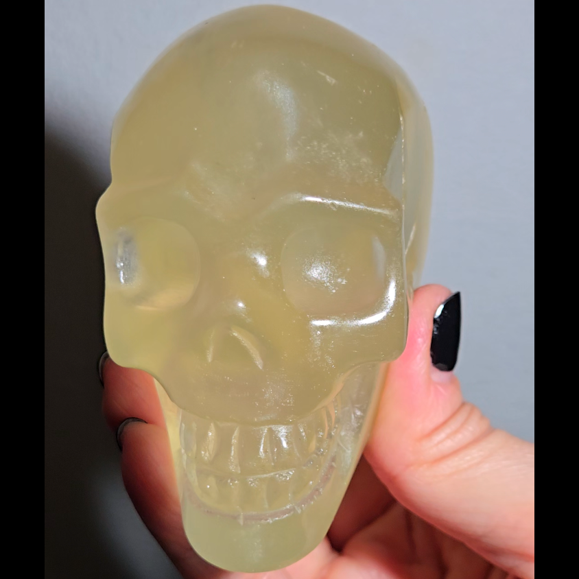 Citrine skull with rainbows and multiple star flash asterism - C59