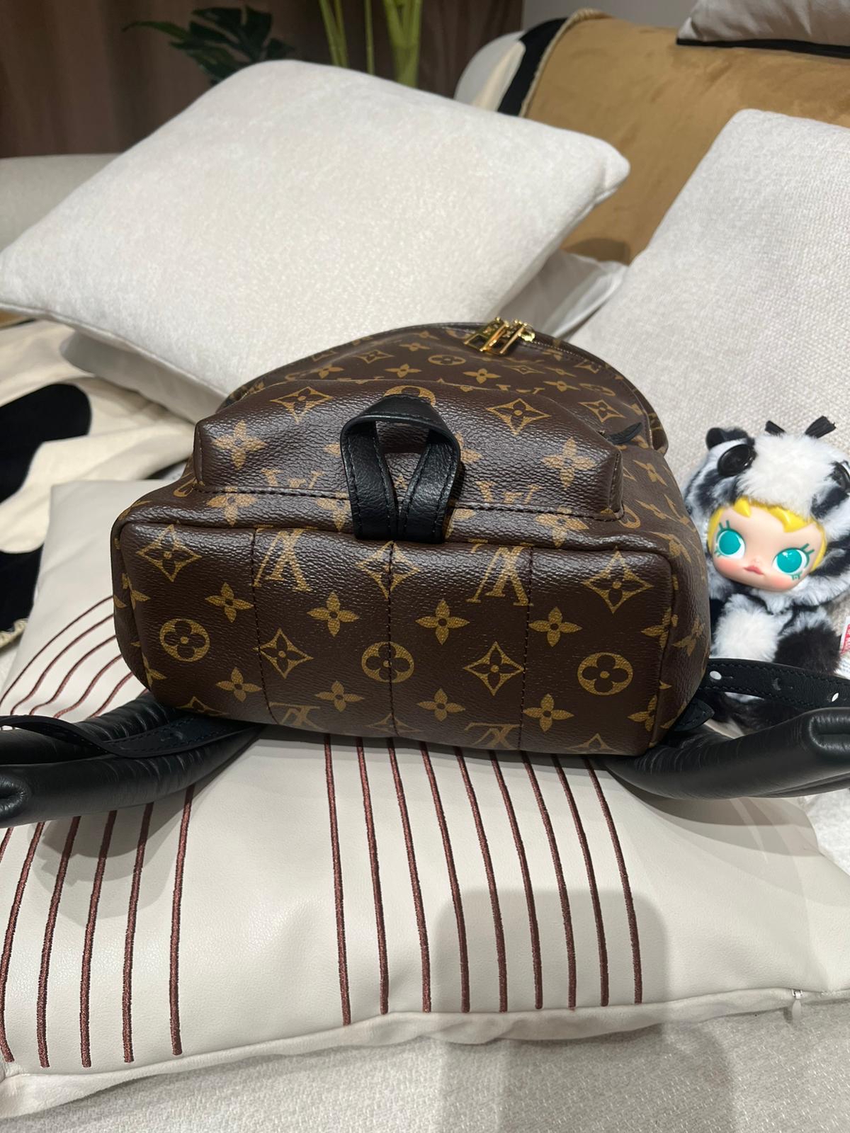Lv backpack Palm Springs pm 100%Authentic,98%new ✅塵袋✅booklet